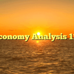 Economy Analysis 111