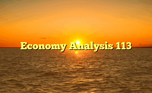Economy Analysis 113