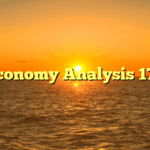 Economy Analysis 177
